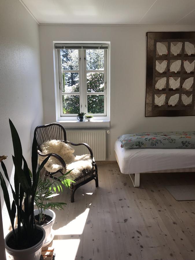 Tranum Lys Og Glas Brovst Екстериор снимка