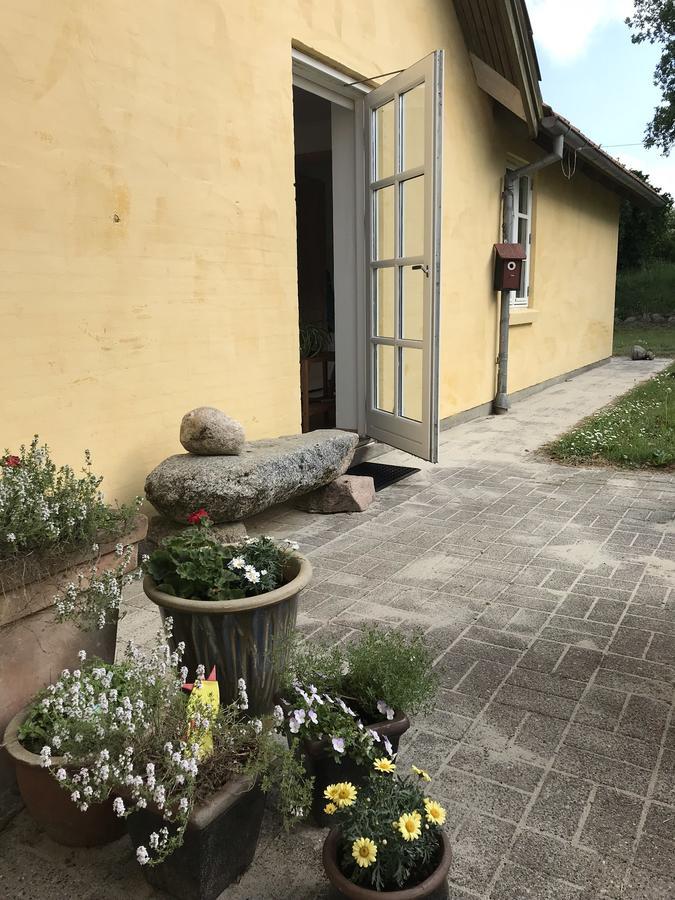 Tranum Lys Og Glas Brovst Екстериор снимка